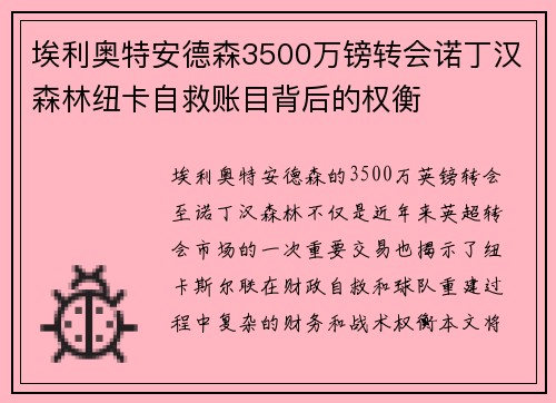 埃利奥特安德森3500万镑转会诺丁汉森林纽卡自救账目背后的权衡